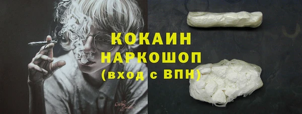 трава Белокуриха