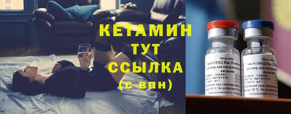 трава Белокуриха
