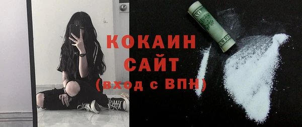 трава Белокуриха