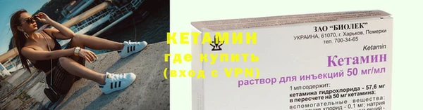 трава Белокуриха
