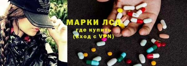 трава Белокуриха